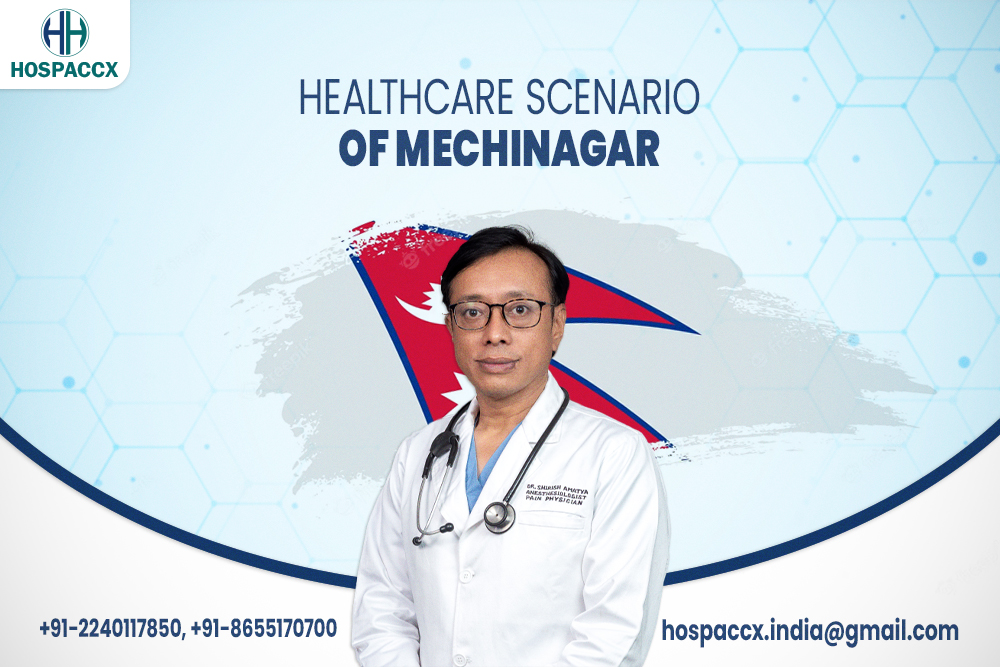 Healthcare Scenario Of Mechinagar