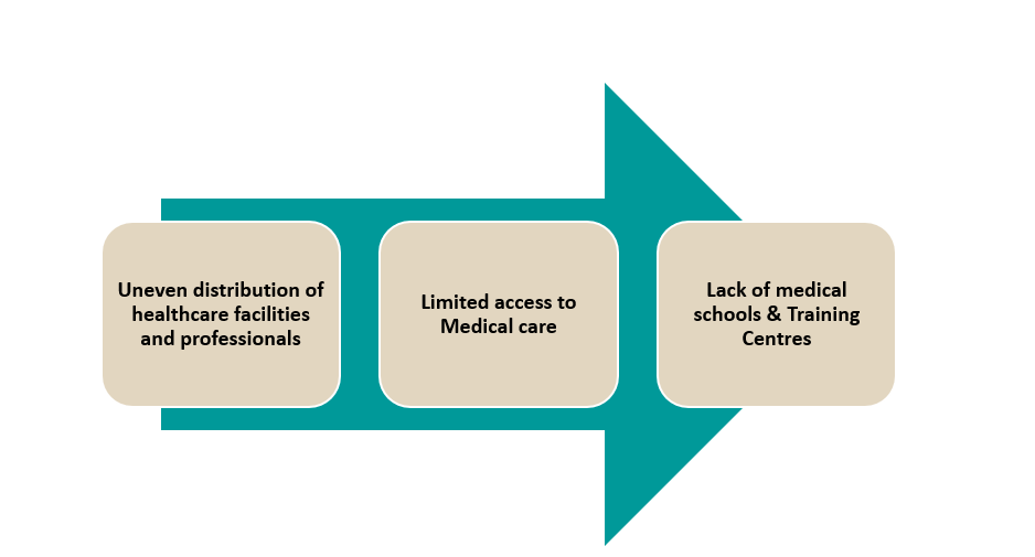 hetuda2 HEALTHCARE SCENARIO OF HETAUDA 2023