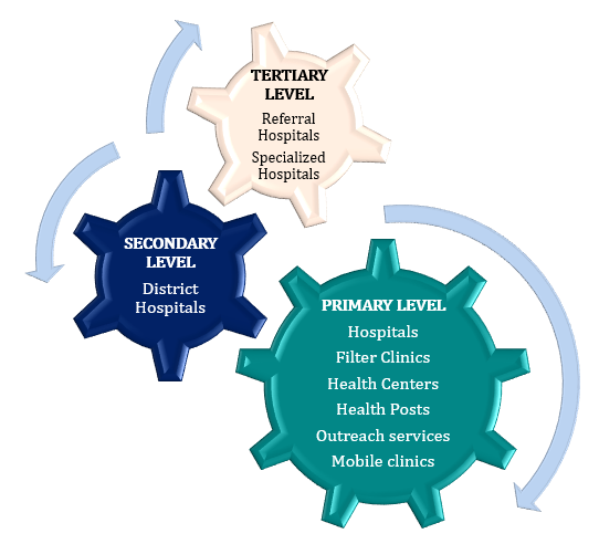 4 1 HEALTHCARE SCENARIO OF LESOTHO 2023