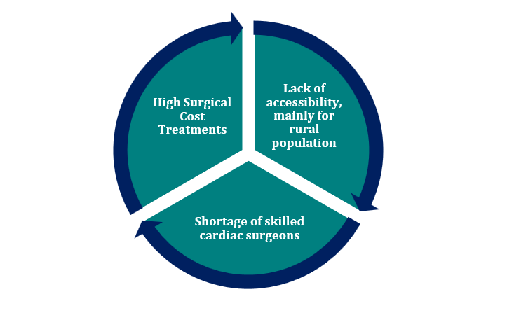 3 CARDIAC MARKET SCENARIO OF INDIA 2023