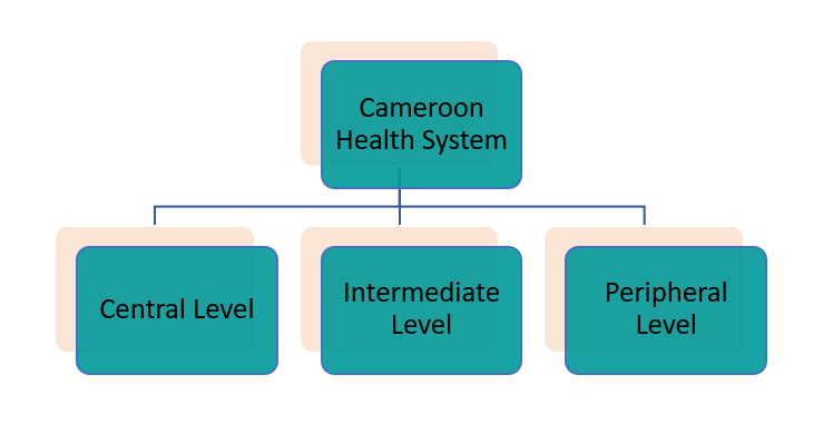 camroon3 HEALTHCARE SCENARIO OF CAMEROON 2023