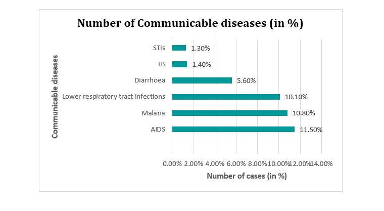 camroon4 HEALTHCARE SCENARIO OF CAMEROON 2023