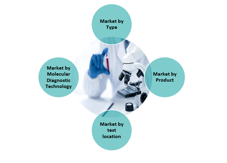 diagno2 DIAGNOSTIC MARKET SCENARIO IN INDIA 2023