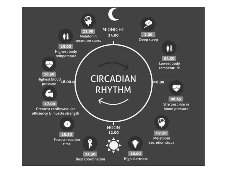 Fwd Blogs for upload webdeveloper4.namastetu@gmail.com Gmail 24 IMPORTANCE OF CIRCADIAN LIGHTING IN HOSPITAL DESIGN