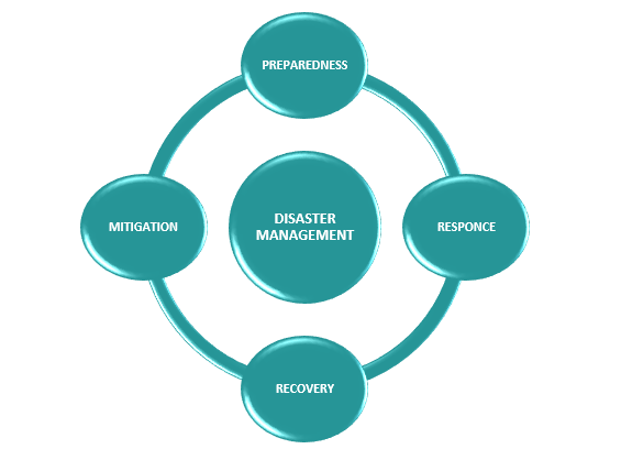 Show result on Google SERP when searching on DISASTER MANAGEMENT CYCLE