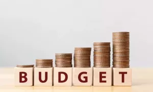 Budget-and-coins-arranged-on-wooden-blocks-symbolizing-financial-planning-and-investment-strategies-for-Indian-API-manufacturers.jpg