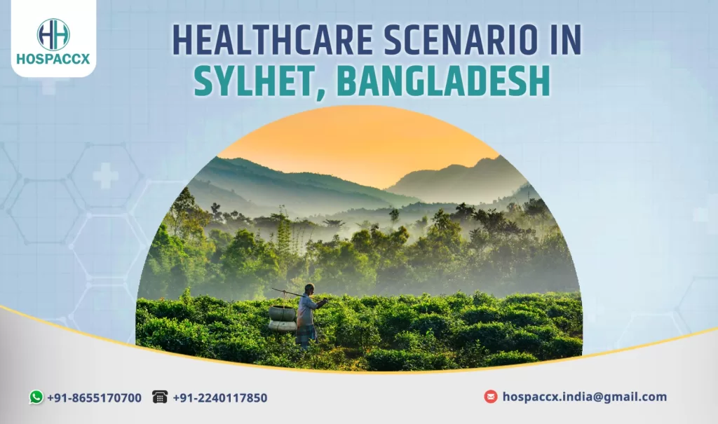 Healthcare infrastructure in Sylhet, Bangladesh
