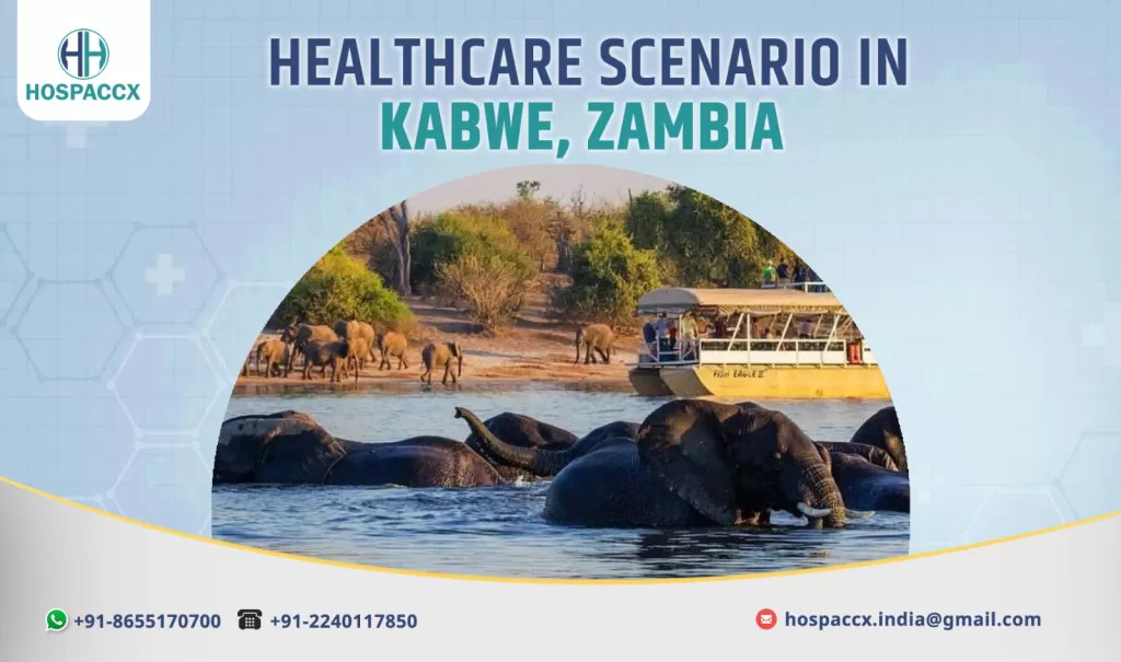 Hospaccx Consulting team analyzing healthcare infrastructure in Kabwe